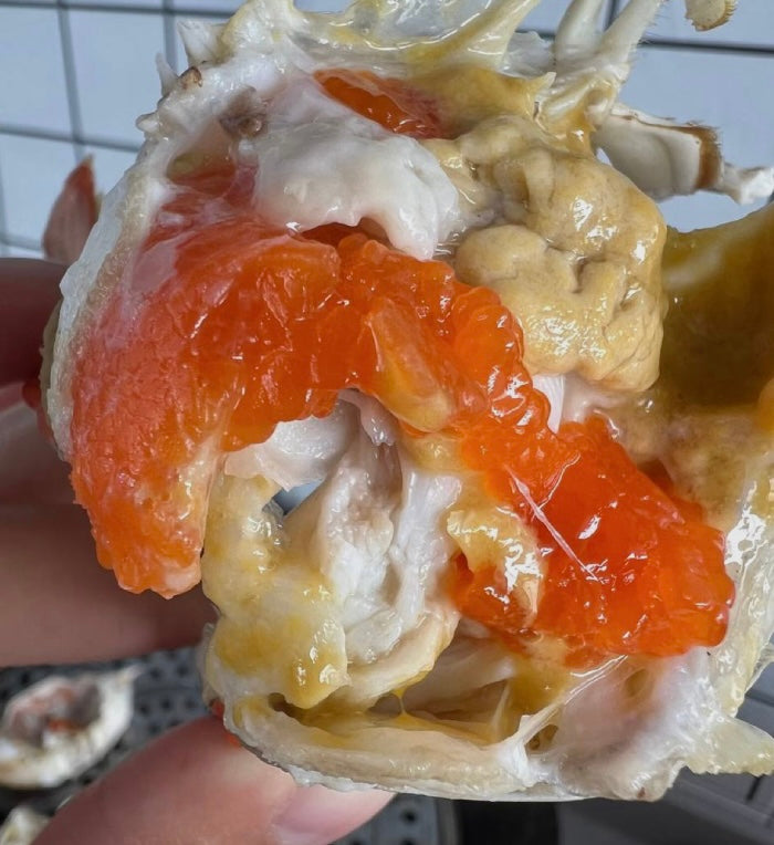 Superior Jumbo Swimming Crab: Bursting with Rich, Creamy Roe and Tomalley